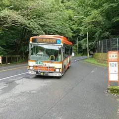 天城峠（バス）