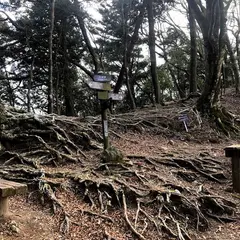 天城峠