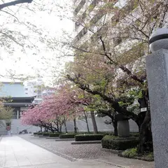 萬隆寺