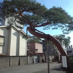 深広山 無涯院 海蔵寺