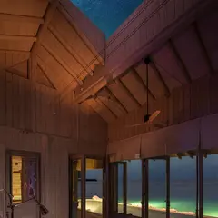 ソネバ ジャニ