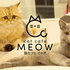 cat cafe MEOW｜猫カフェ ミャオ