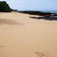 谷茶ビーチ