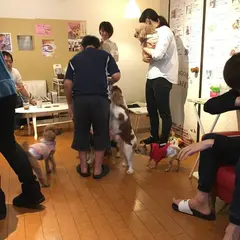 保護犬カフェ鶴橋店