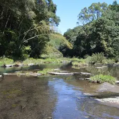 大出水の湧水