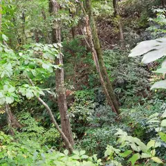 五十公野城址