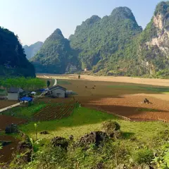  Động Ngườm Ngao（Nguom Ngao Cave ングオムンガオ鍾乳洞）