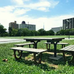 大島小松川公園 わんさか広場
