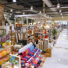 デサキ熊本菊陽店