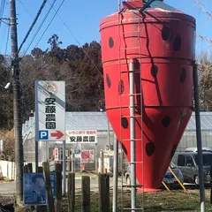 安藤農園