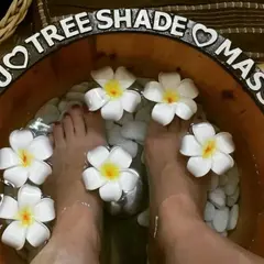 Tree Shade Spa Mactan