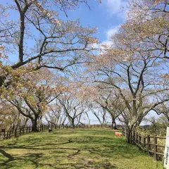 岩切城跡