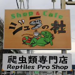 爬虫類Shop&Cafe ジュラの杜