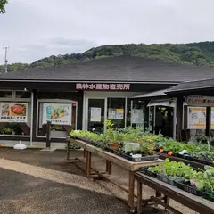 道の駅下賀茂温泉湯の花