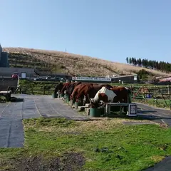 草千里阿蘇火山博物館前（バス）