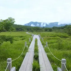 沼ッ原湿原