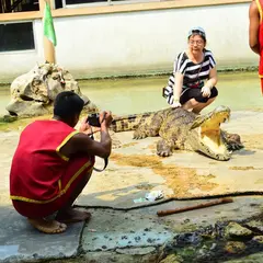 クロコダイル ファーム