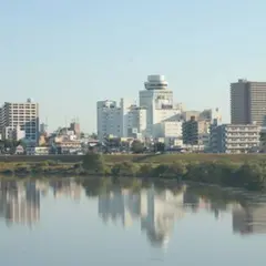 松戸市