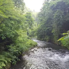 山中温泉河鹿町