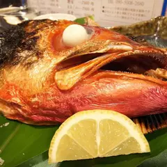 あまみの魚たち