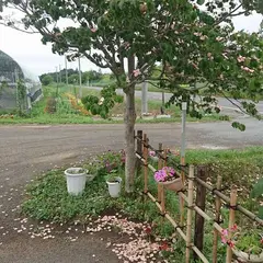松浦農園