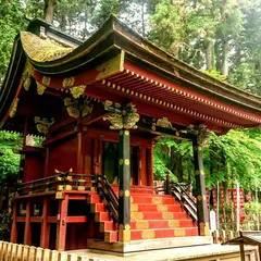 富士浅間神社の大杉