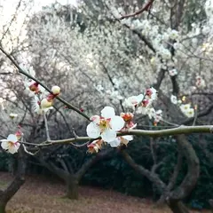 赤塚城跡