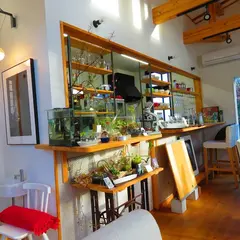 Cafe' Albert