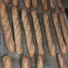 Saines Saveurs