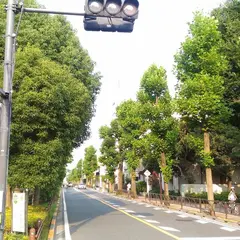 ユリの木公園（バス）