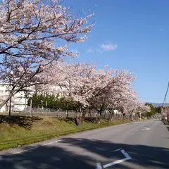 桜公園