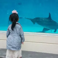 海洋博公園管理センター 熱帯ドリームセンター植物管理チーム