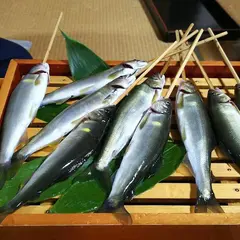 呑舟