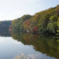 宮沢湖