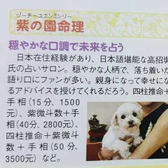 紫の園命理