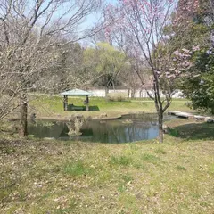 金目親水公園