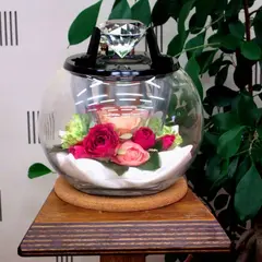 トムズラボ