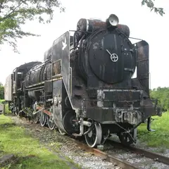 SLパーク跡（D51形蒸気機関車）