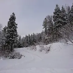 鷲ケ岳スキー場