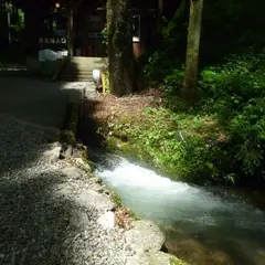 Mines Wellness City