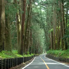 日光杉並木 例幣使街道