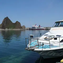 観光船ドルフィン