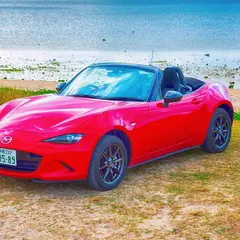 スピードレンタカー沖縄