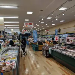 エレナ 西海店