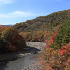 森の大橋