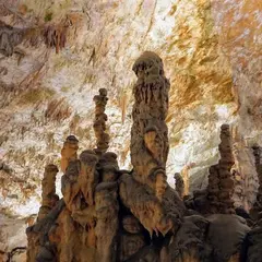 Postojna Cave