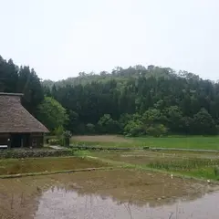 中池見湿地