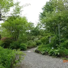 軽井沢町植物園