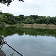 大瀬崎の神池