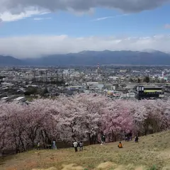 国指定史跡 弘法山古墳